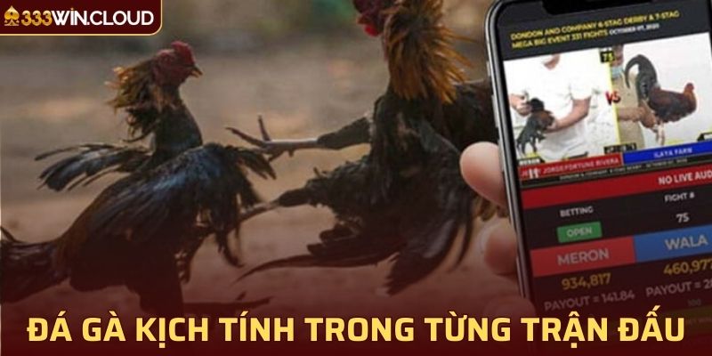 Đá gà 33WIN hấp dẫn, kịch tính trong từng trận đấu