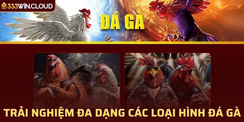 Thoải mái trải nghiệm đa dạng các loại hình giải trí